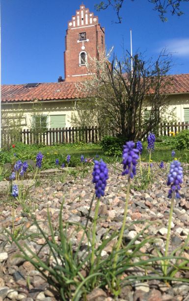 rödtornet pärlhuacint